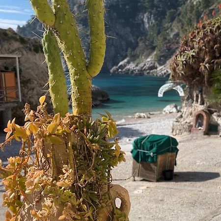 Capri Magic House On The Beach Dış mekan fotoğraf