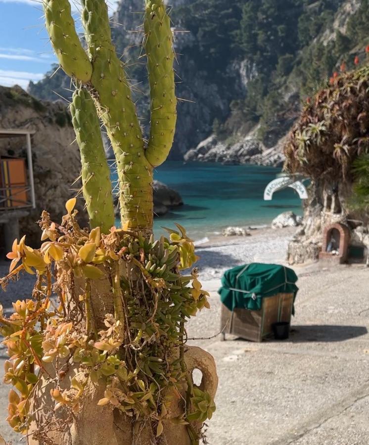 Capri Magic House On The Beach Dış mekan fotoğraf
