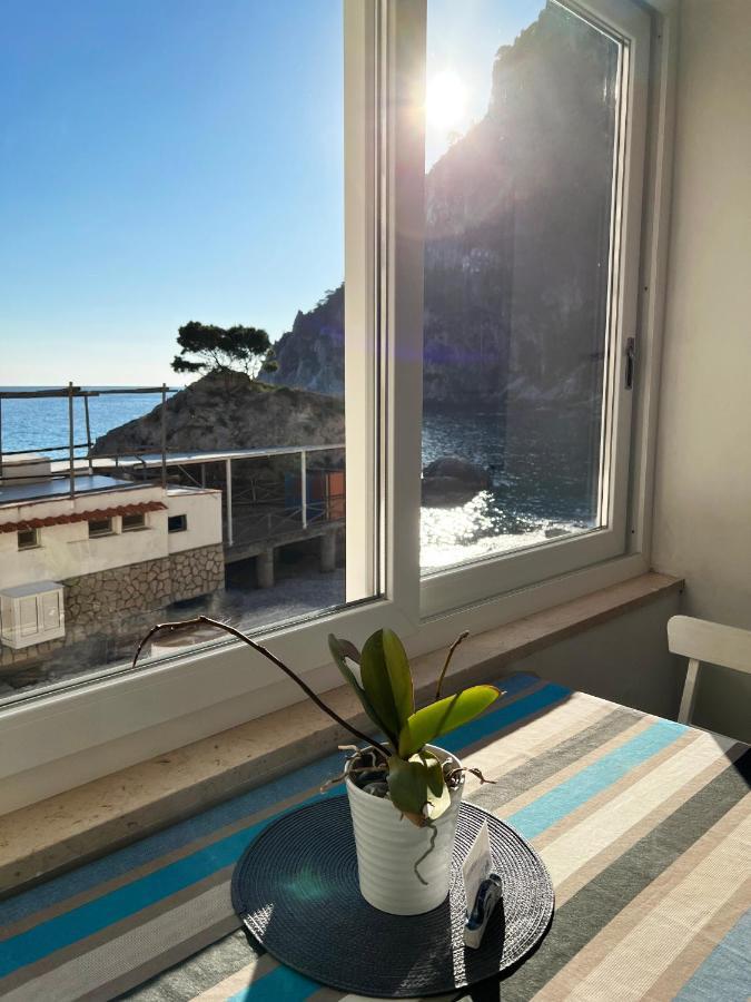 Capri Magic House On The Beach Dış mekan fotoğraf