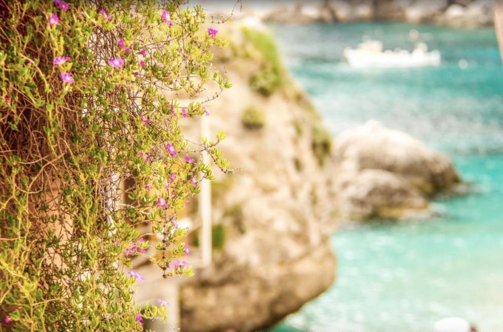Capri Magic House On The Beach Dış mekan fotoğraf